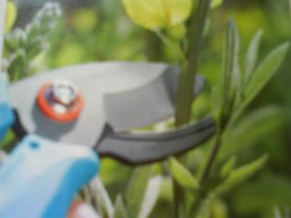 Groveflora Gardening Tool Resources