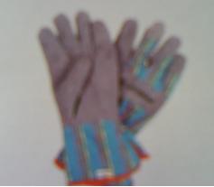 gardening gloves India