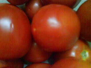 Organic Tomato Seeds groveflora